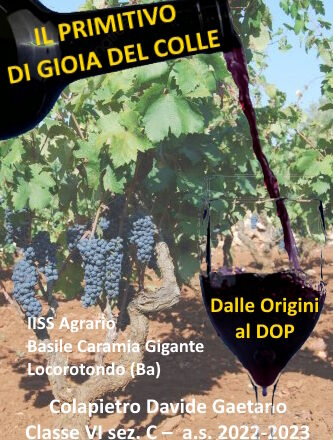 copertina tesina.jpg